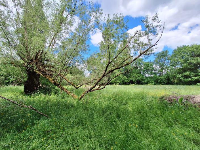 Image No.37-Maison de campagne de 3 chambres à vendre à Sérignac-Péboudou