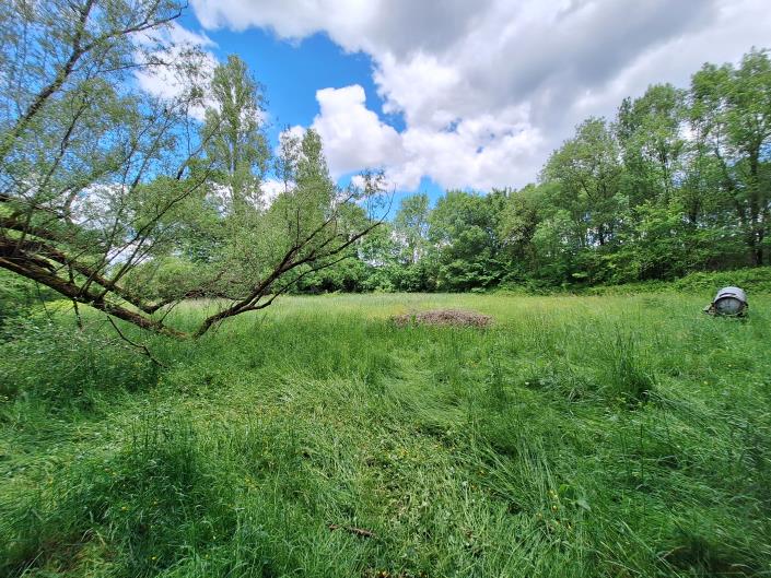 Image No.38-Maison de campagne de 3 chambres à vendre à Sérignac-Péboudou