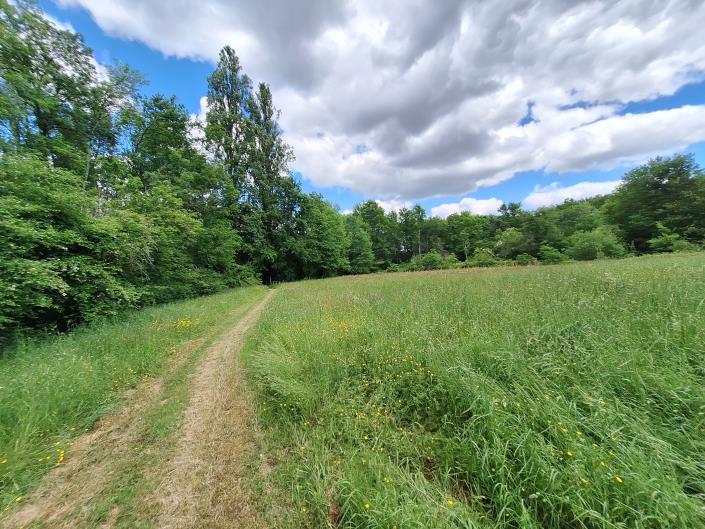 Image No.39-Maison de campagne de 3 chambres à vendre à Sérignac-Péboudou