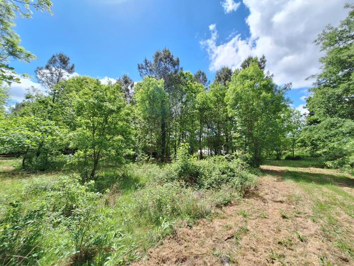Image No.42-Maison de campagne de 3 chambres à vendre à Sérignac-Péboudou