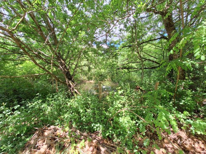 Image No.43-Maison de campagne de 3 chambres à vendre à Sérignac-Péboudou