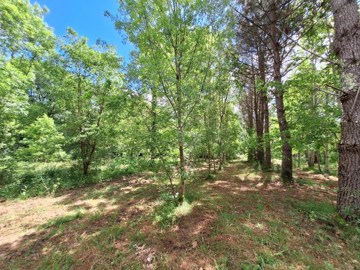 Image No.45-Maison de campagne de 3 chambres à vendre à Sérignac-Péboudou