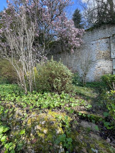 Image No.32-Châteaux de 4 chambres à vendre à Limeuil