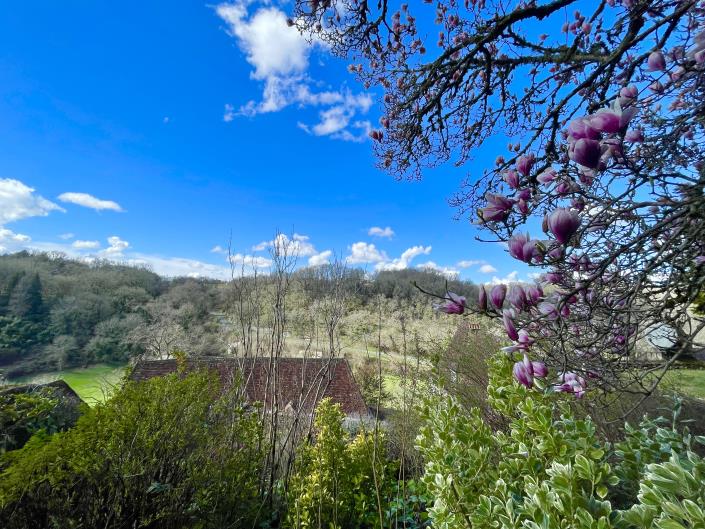 Image No.33-Châteaux de 4 chambres à vendre à Limeuil