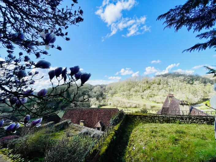 Image No.3-Châteaux de 4 chambres à vendre à Limeuil