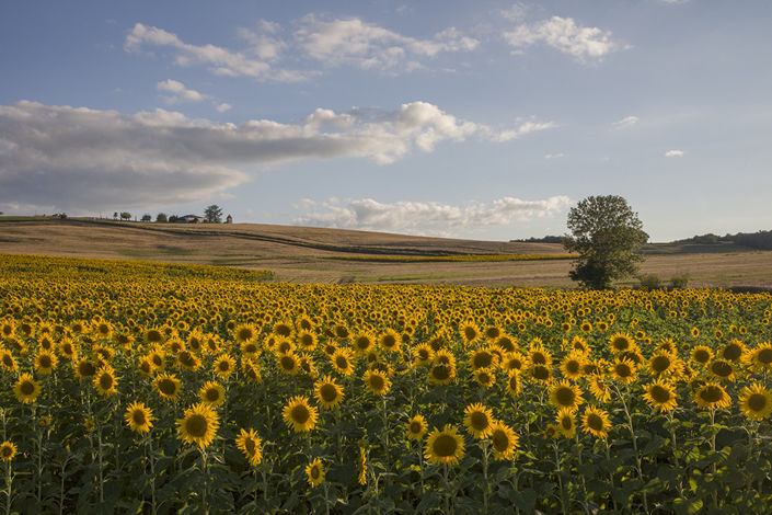 Image No.16-Maison de 4 chambres à vendre à Cambes
