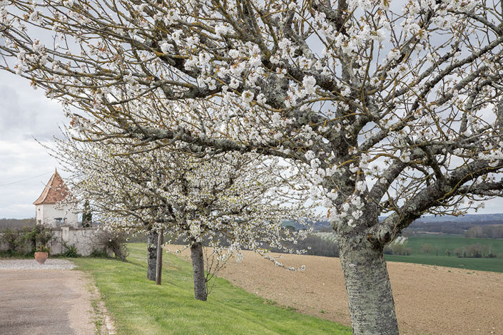 Image No.18-Maison de 4 chambres à vendre à Cambes