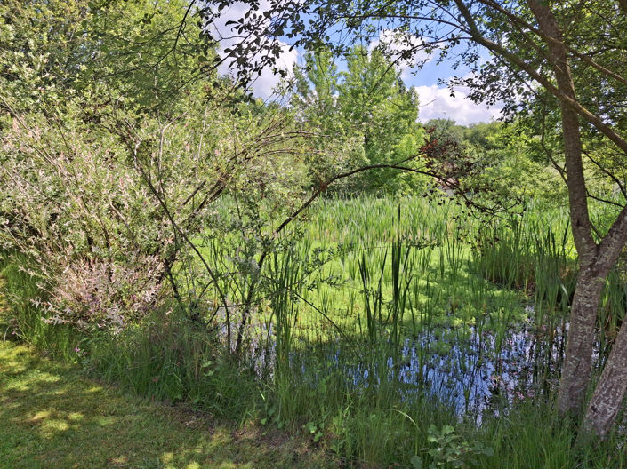 Image No.24-Maison de 5 chambres à vendre à Villeréal