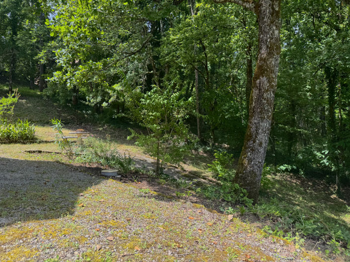 Image No.23-Maison de 3 chambres à vendre à Le Bugue