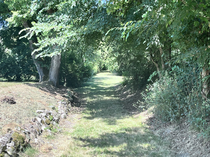 Image No.2-Maison de 6 chambres à vendre à Plaisance