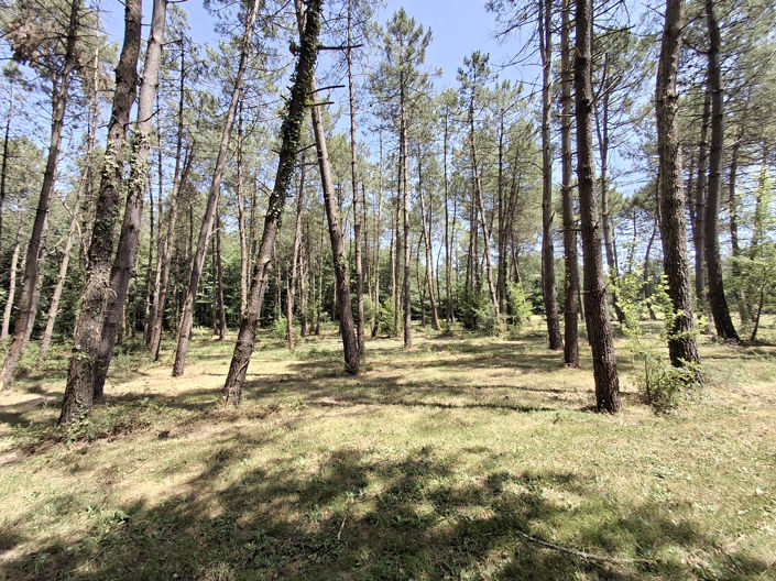 Image No.10-Maison de 1 chambre à vendre à Villeréal