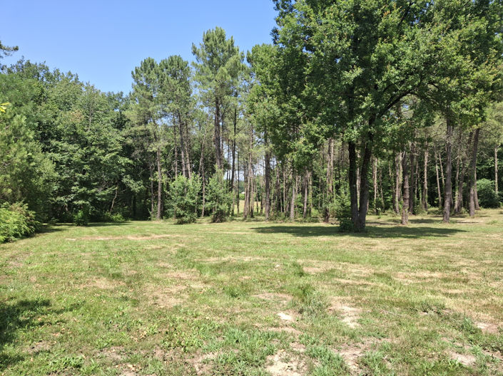 Image No.3-Maison de 1 chambre à vendre à Villeréal