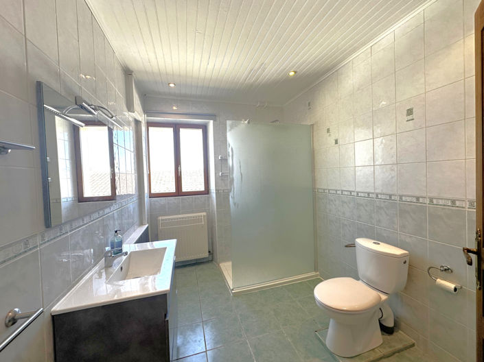 Image No.20-Maison de 8 chambres à vendre à Monbahus