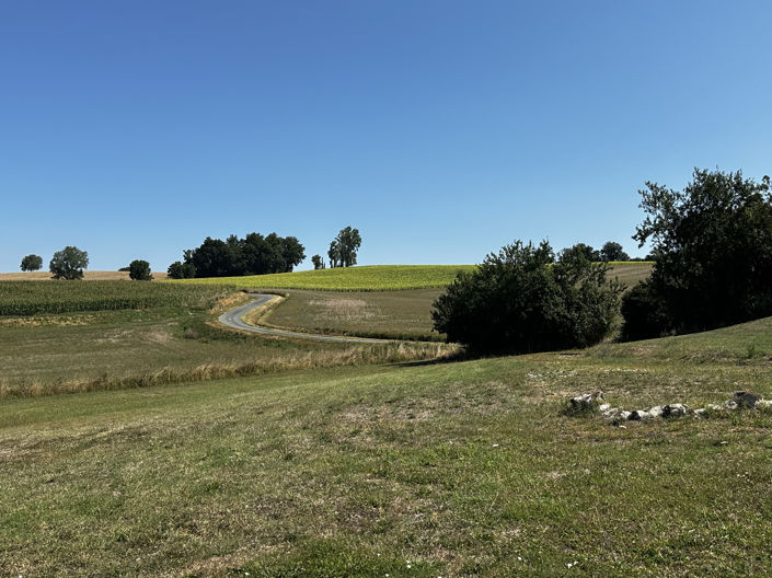 Image No.24-Maison de 8 chambres à vendre à Monbahus