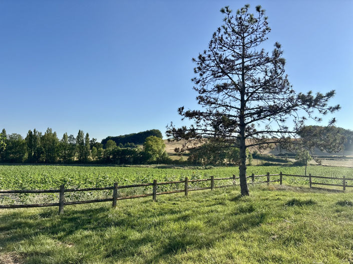 Image No.3-Maison de 3 chambres à vendre à Saint-Quentin-du-Dropt