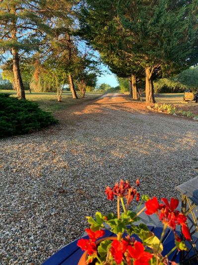 Image No.18-Maison de 4 chambres à vendre à Dordogne