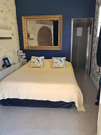 Image No.19-Maison de 8 chambres à vendre à Villeréal