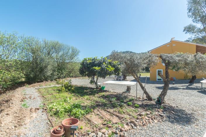 Image No.31-4 Bed Finca for sale