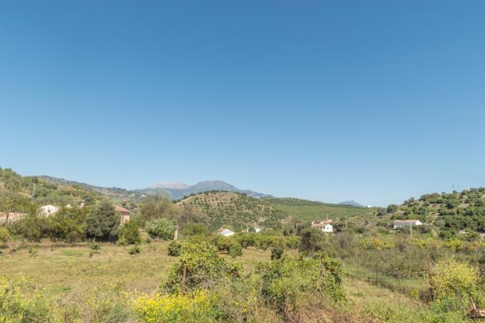 Image No.37-4 Bed Finca for sale