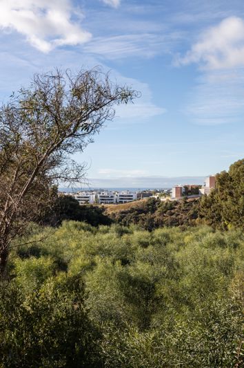Image No.2-Terrain à vendre à Benahavis