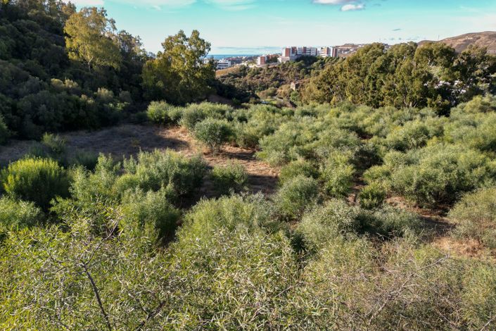 Image No.4-Terrain à vendre à Benahavis