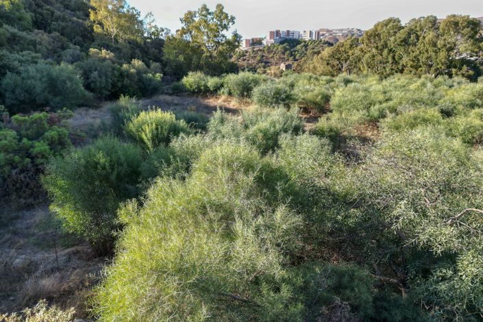 Image No.7-Terrain à vendre à Benahavis
