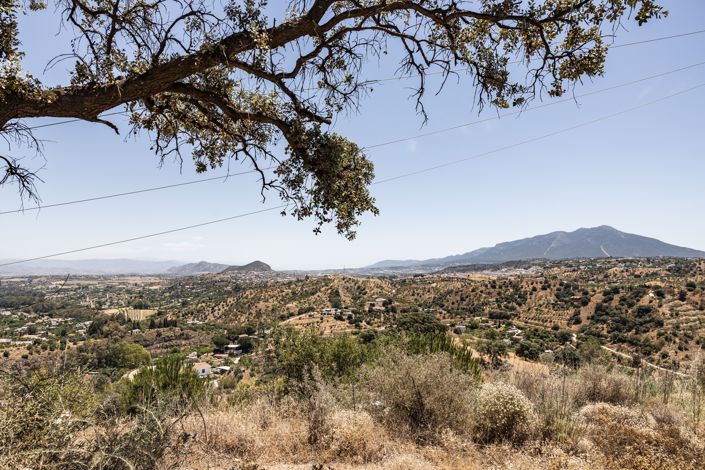 Image No.10-Plot for sale