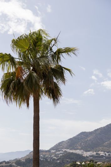 Image No.30-4 Bed Villa for sale