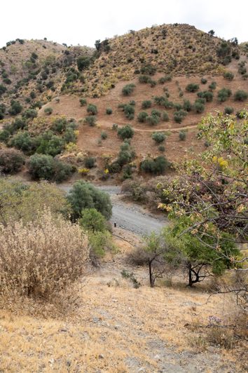 Image No.4-Plot for sale