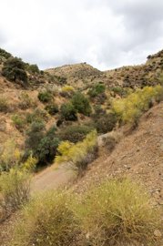 qgcm5yxb7itu20usxvas9zwwpfszaql0s7gesuwya4e1n