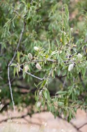 qgcm5yxb7itu20usxvas9zwwpfszaql0s7gesuwya4e1n