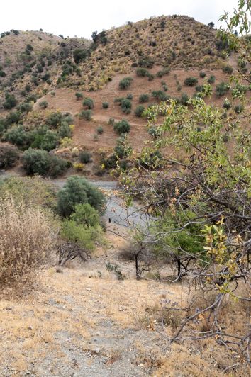 Image No.10-Plot for sale