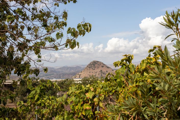 Image No.30-Cortijo de 9 chambres à vendre à Málaga City