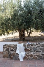 strandm7574-nqvql00i68hxbdlo