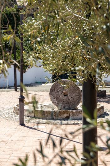 Image No.9-Cortijo de 9 chambres à vendre à Málaga City