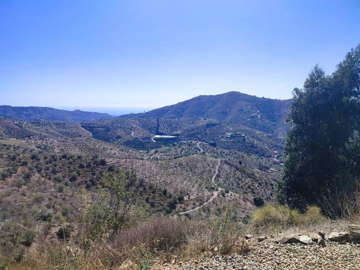 Image No.26-Maison de 9 chambres à vendre à Arenas