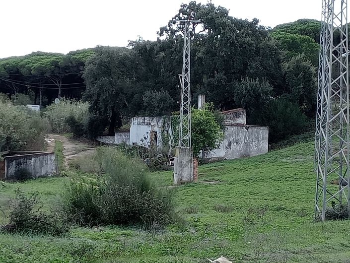 Image No.3-Plot for sale