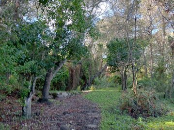 qgcm5yxb7itu20usxvas9zwwpfszaql0s7gesuwya4e1n