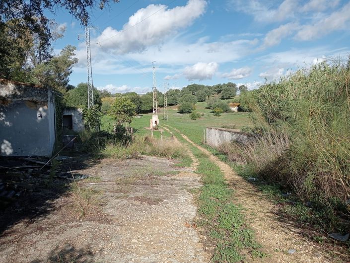 Image No.2-Plot for sale