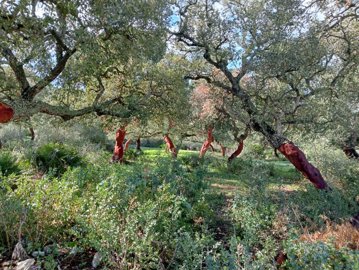 qgcm5yxb7itu20usxvas9zwwpfszaql0s7gesuwya4e1n