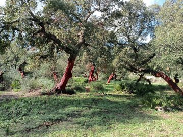 qgcm5yxb7itu20usxvas9zwwpfszaql0s7gesuwya4e1n