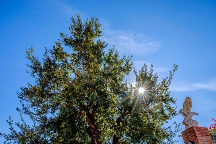 Image No.28-6 Bed Villa for sale