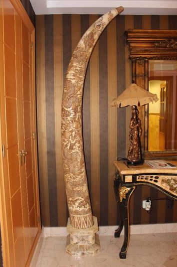 Image No.15-3 Bed Apartment for sale