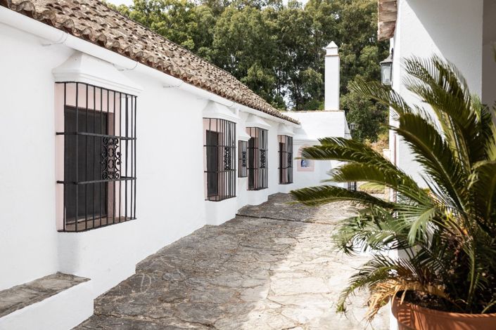 Image No.8-Finca de 7 chambres à vendre à Tarifa