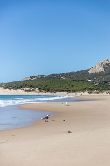 Image No.10-Plot for sale