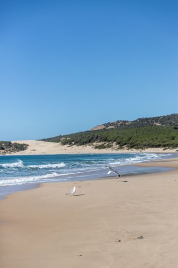 Image No.11-Plot for sale