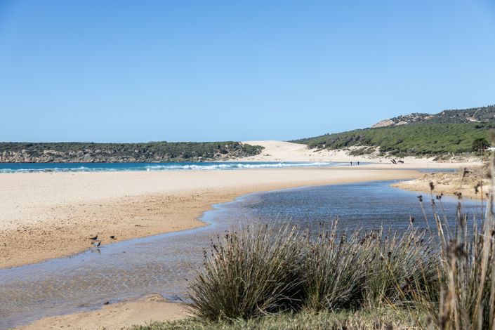 Image No.4-Plot for sale