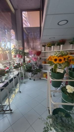 Image No.3-Commercial for sale