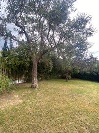 spcrm2399-w2sir9bbju5zf1g7