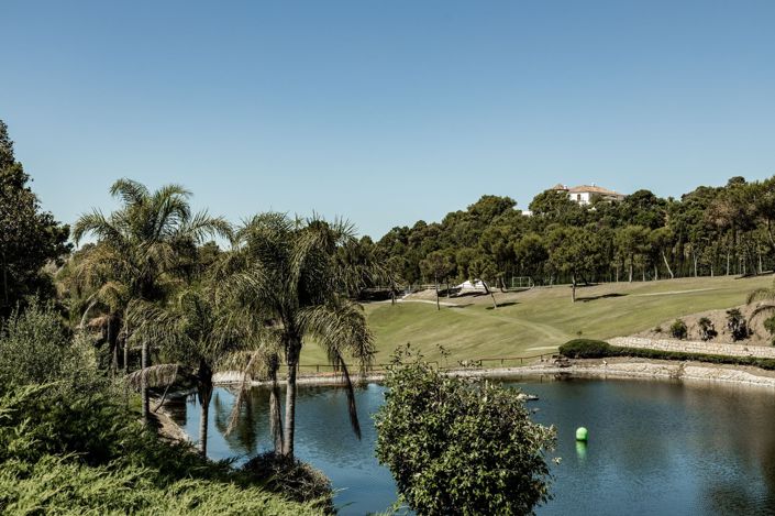 Image No.2-Plot for sale